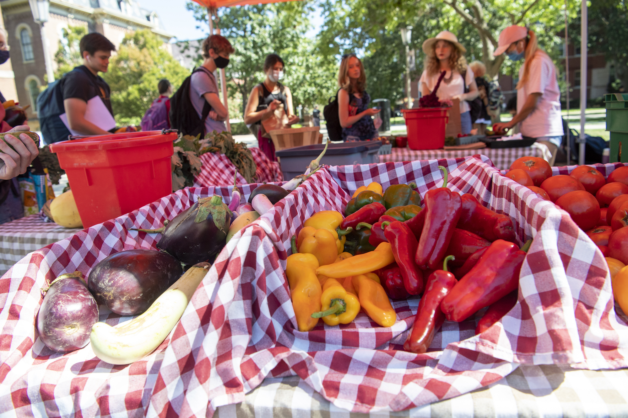 Vegetables spread on the table.  