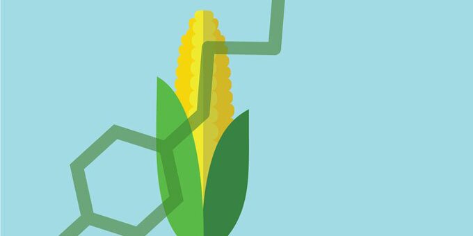 Corn with a hexagon and line in front.