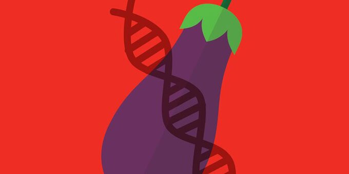 Eggplant with DNA strand over it