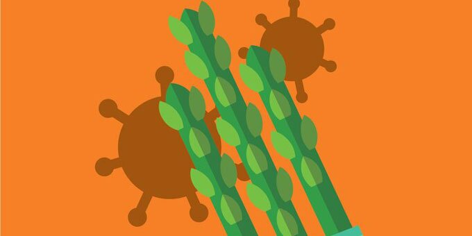 Asparagus with viruses behind it