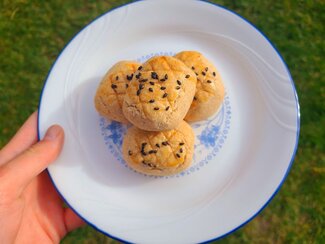 FSHN Malaysian red bean tarts
