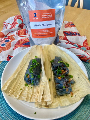 Orange & Illinois Blue Corn Tamales by Cassandra Correa