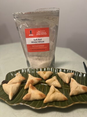 Alexi's Veggie Dumplings by Alexi Hernandez