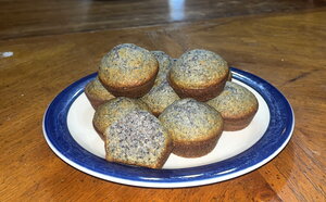 Blue Corn Muffins by  Mackenzie Cook