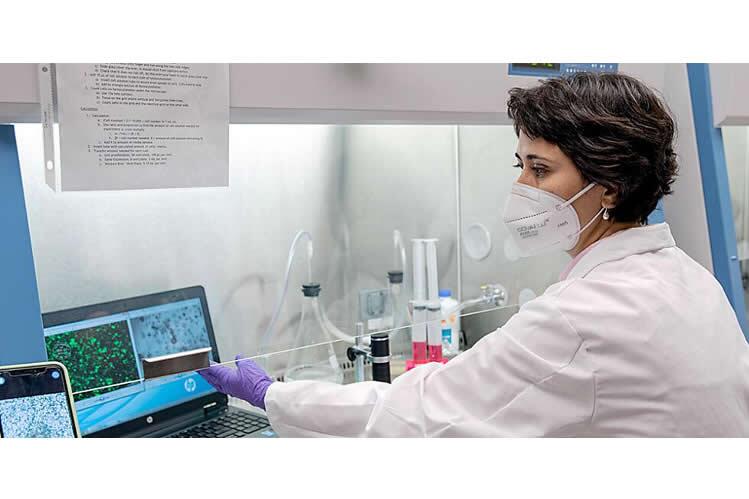 Woman in lab looking at laptop