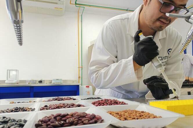 David Fonseca Hernández working in the CIATEJ laboratory.