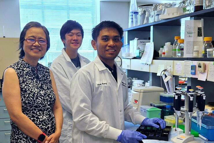 Hong Chen lab