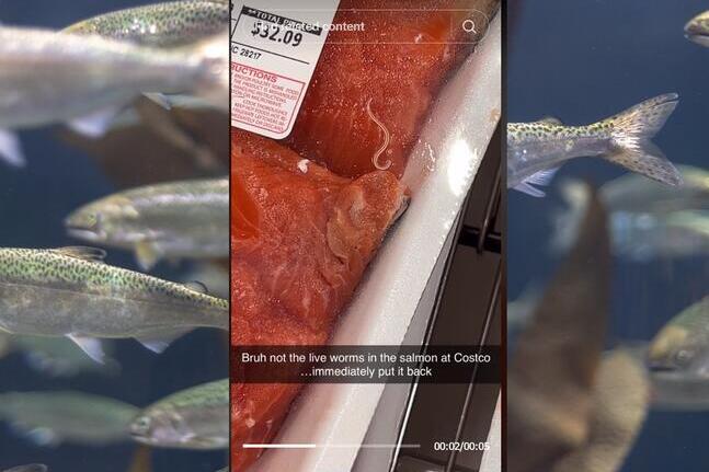 Should You Worry About Those Worms Found in Costco’s Salmon? We Asked an Expert