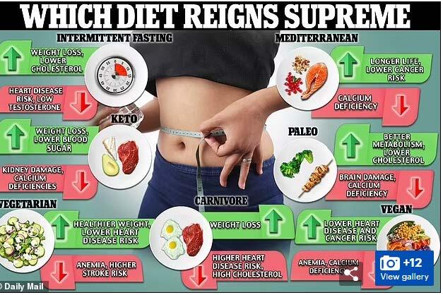 Which diet is best for YOU? After major study found fasting might RAISE the  risk of early death, DailyMail.com weighs the pros and cons of seven top  fad diets — including keto