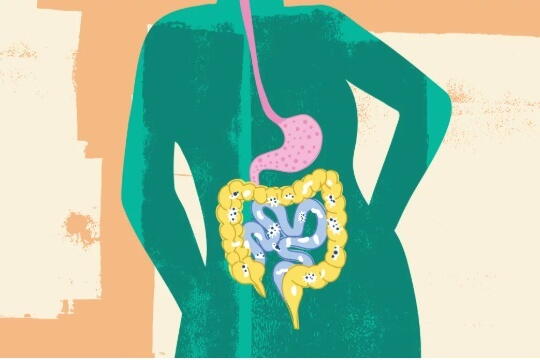 8 things to know about the gut microbiome and keeping yours healthy