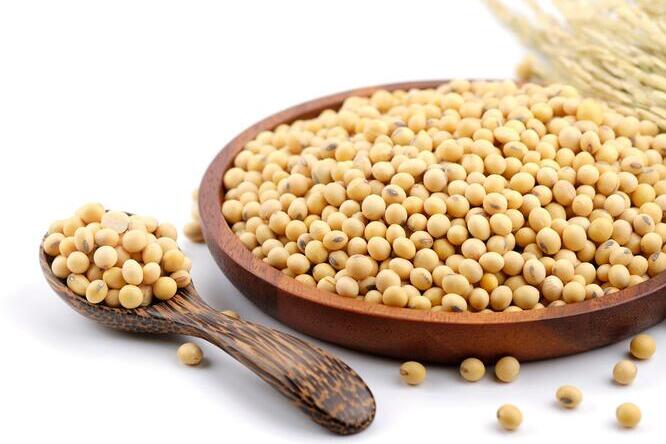 As Research Identifies New Soy Benefits, Market Poised for Significant Growth